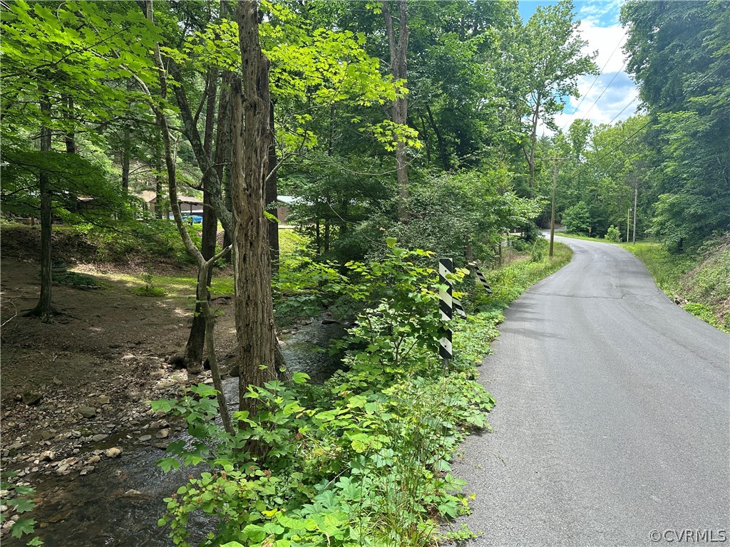 0 Roaring Run Road Eagle Rock, VA 24085 - Photo 4 of 6 Gallery Image 4