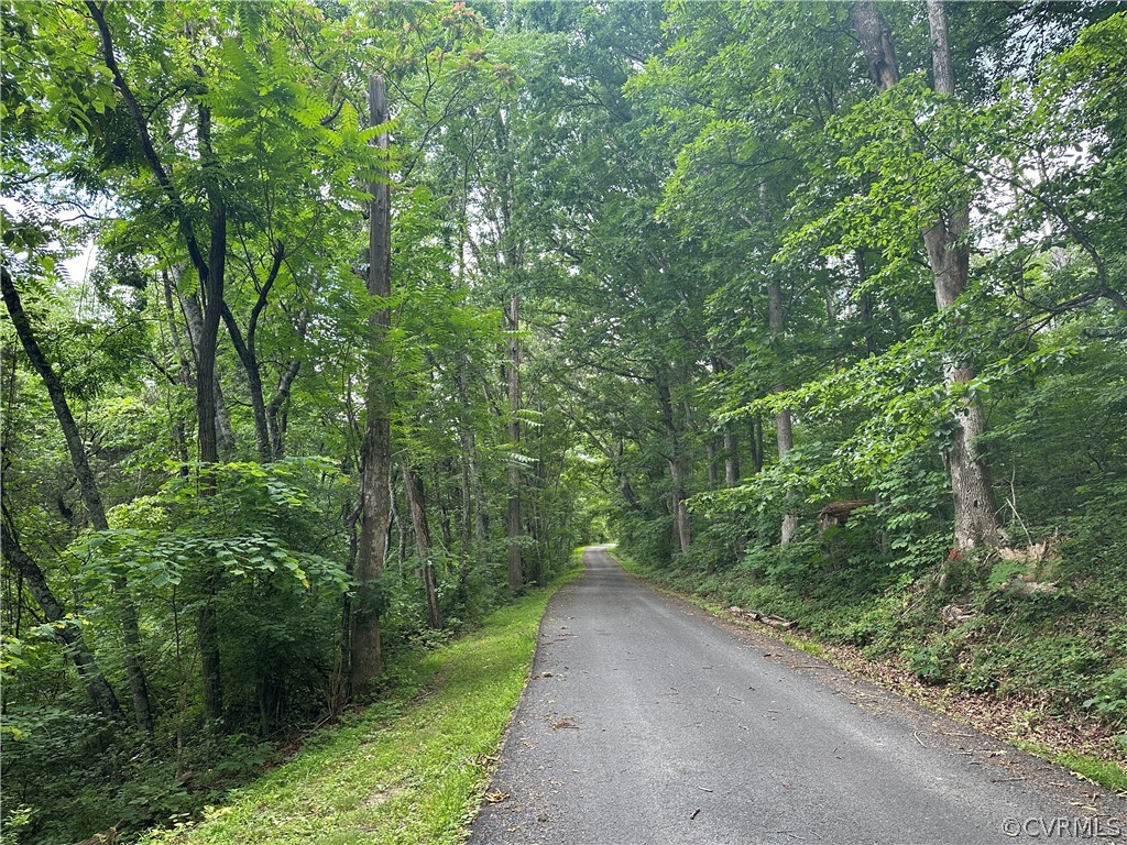 0 Roaring Run Road Eagle Rock, VA 24085 - Photo 5 of 6 Gallery Image 5