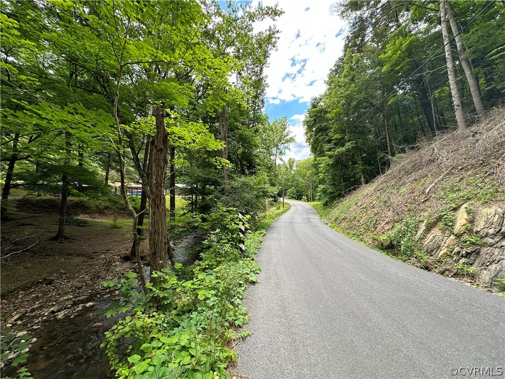 0 Roaring Run Road Eagle Rock, VA 24085 - Photo 6 of 6 Gallery Image 6