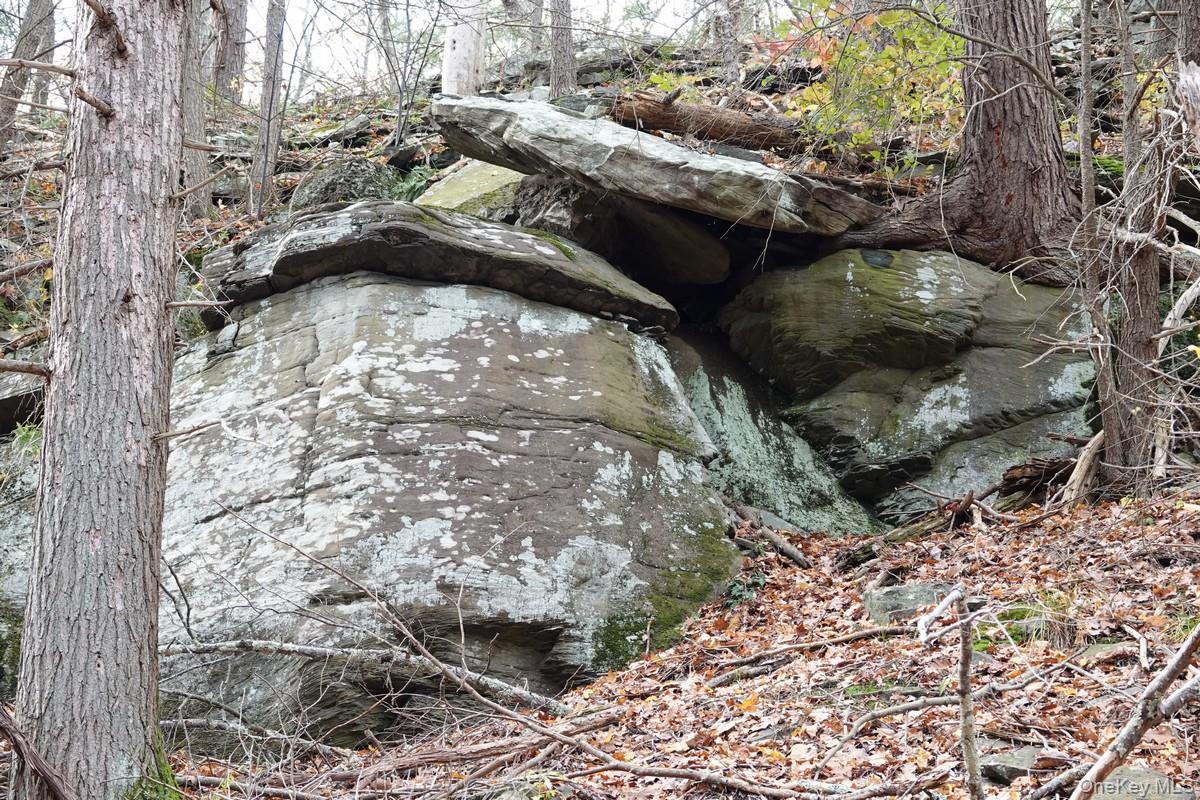 738 Manorville Road Saugerties, NY 12477 - Photo 11 of 15 a view of a backyard of the house