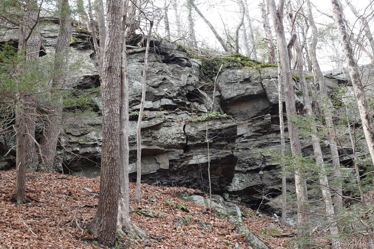 738 Manorville Road Saugerties, NY 12477 - Photo 12 of 15 a backyard of a house with lots of green space