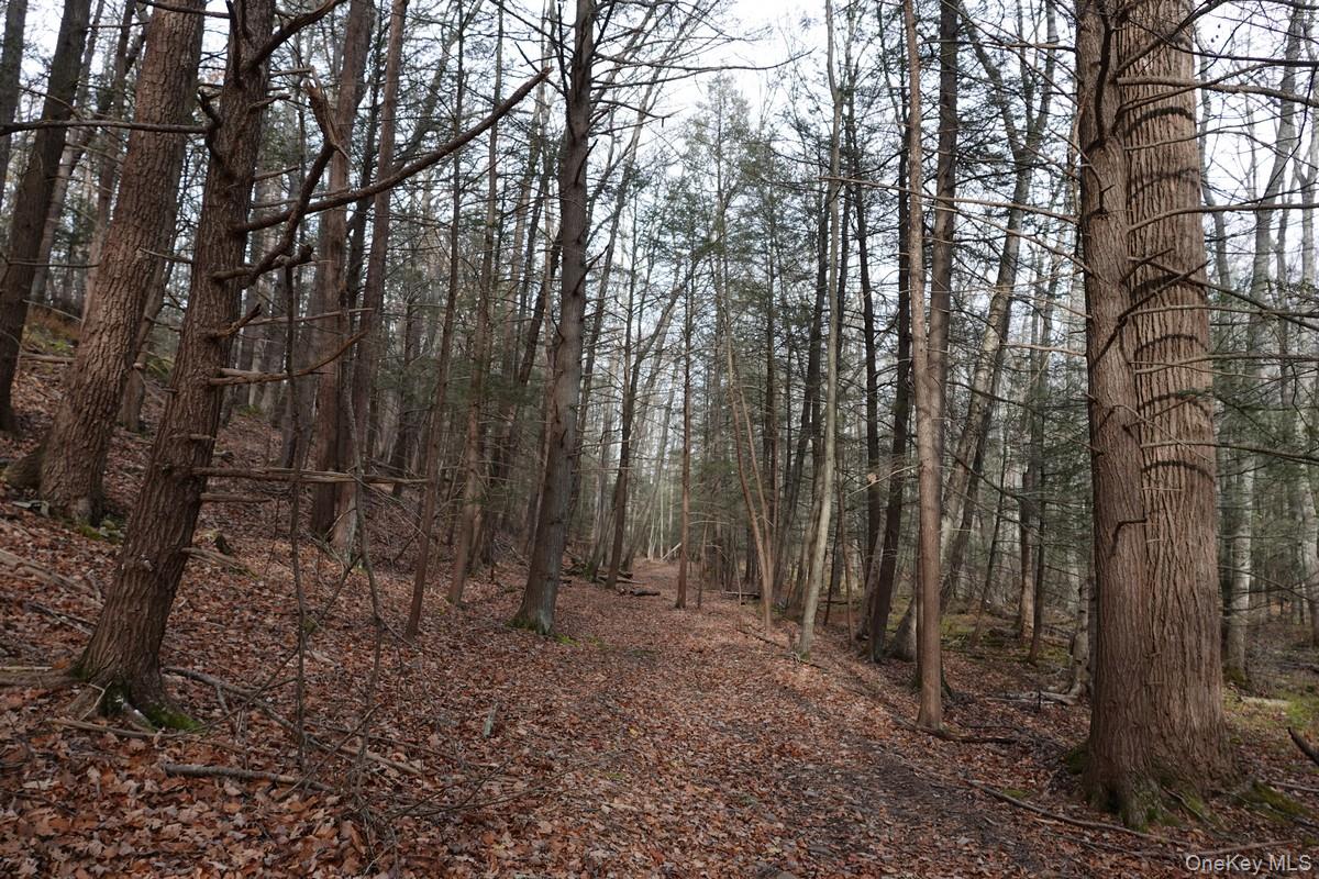 738 Manorville Road Saugerties, NY 12477 - Photo 3 of 15 a view of outdoor space and yard