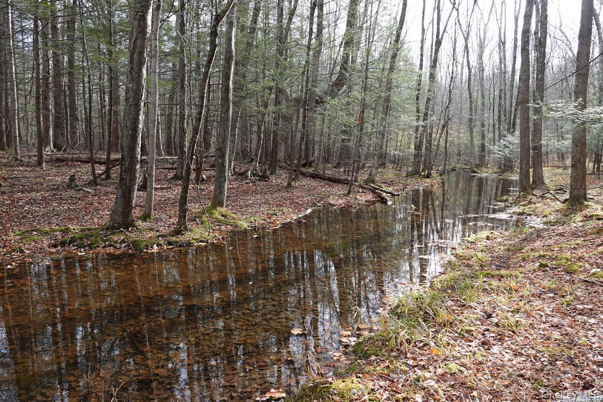 738 Manorville Road Saugerties, NY 12477 - Photo 5 of 15 a view of outdoor space with lots of trees