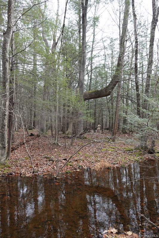 738 Manorville Road Saugerties, NY 12477 - Photo 6 of 15 a backyard of a house with lots of green space