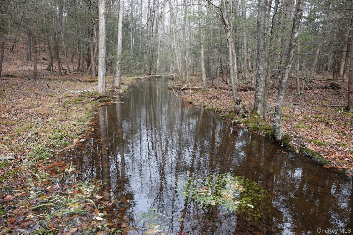 738 Manorville Road Saugerties, NY 12477 - Photo 7 of 15 a view of a pathway with a tree