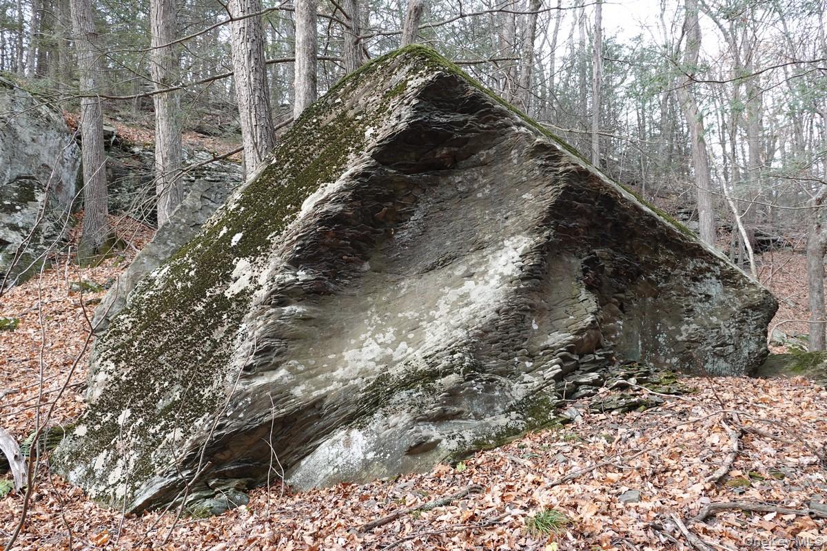 738 Manorville Road Saugerties, NY 12477 - Photo 8 of 15 a view of a yard with large trees