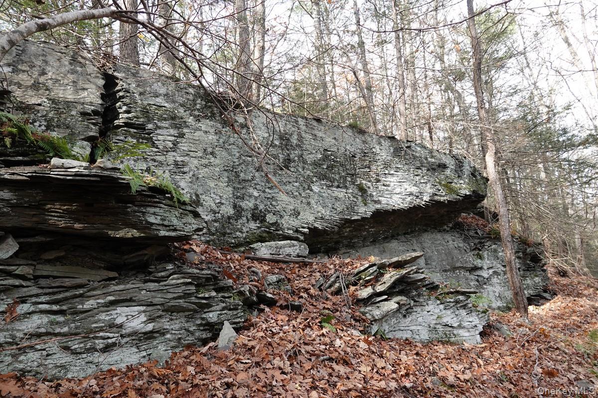 738 Manorville Road Saugerties, NY 12477 - Photo 10 of 15 a view of a yard with wooden fence