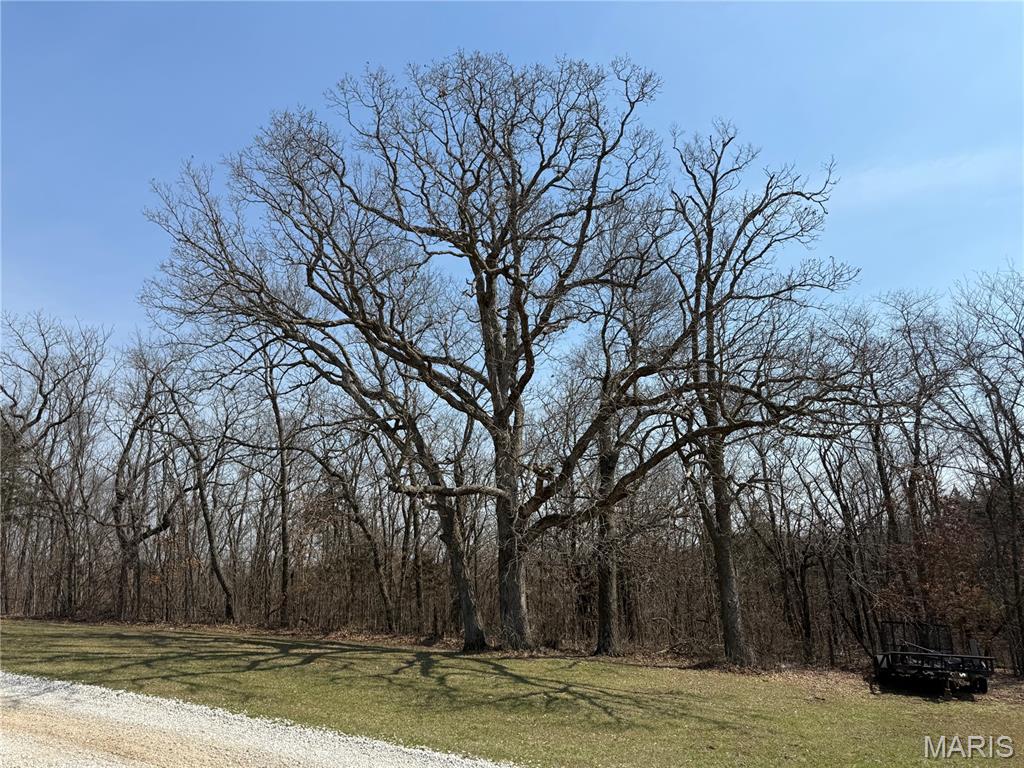 42092 Monroe Trail Perry, MO 63462 - Photo 51 of 56