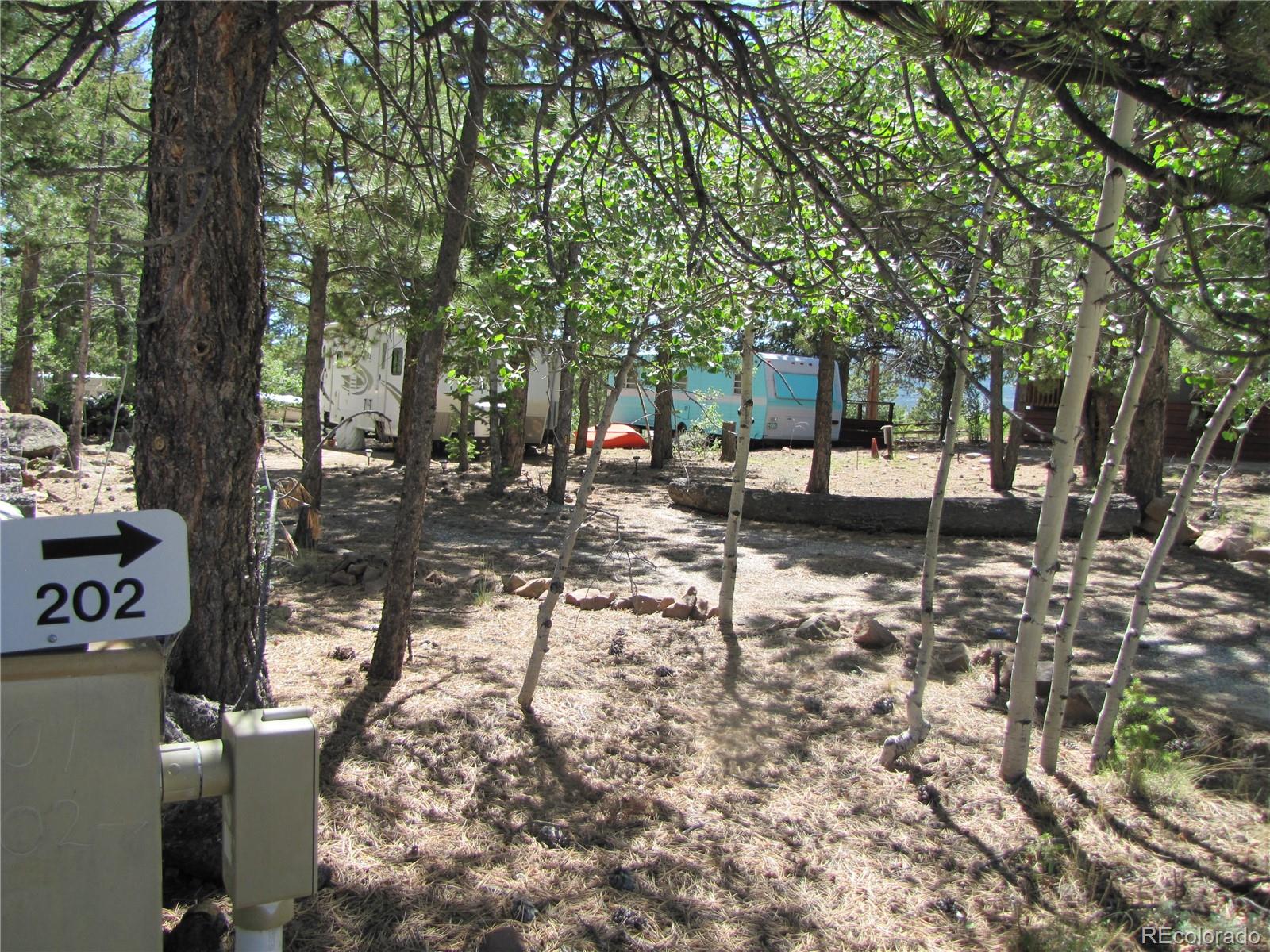 a view of a backyard with a tree