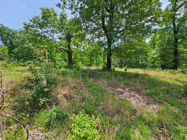 $75,520 | -7.59ac Eastwood Drive, Neosho, MO 64850