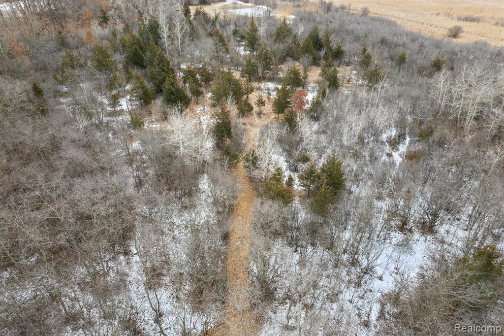 V/l Blake Road Jackson, MI 49201 - Photo 49 of 97 Gallery Image 49
