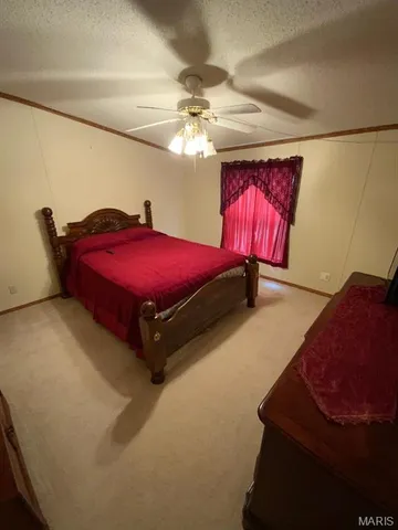 $259,000 | 3000 Metcalf Lane, Farmington, MO 63640