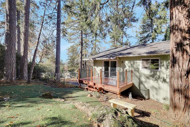 a view of a forest with a city