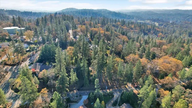 a view of a city with lush green forest