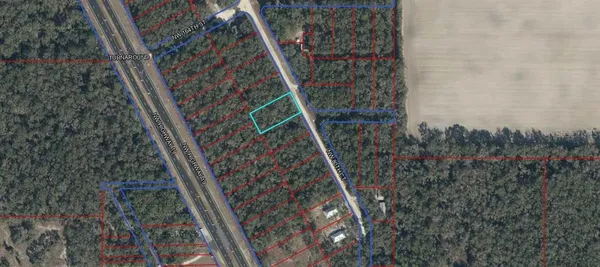 $13,000 | 30 Northwest Lot Fanning Springs, Trenton, FL 32693