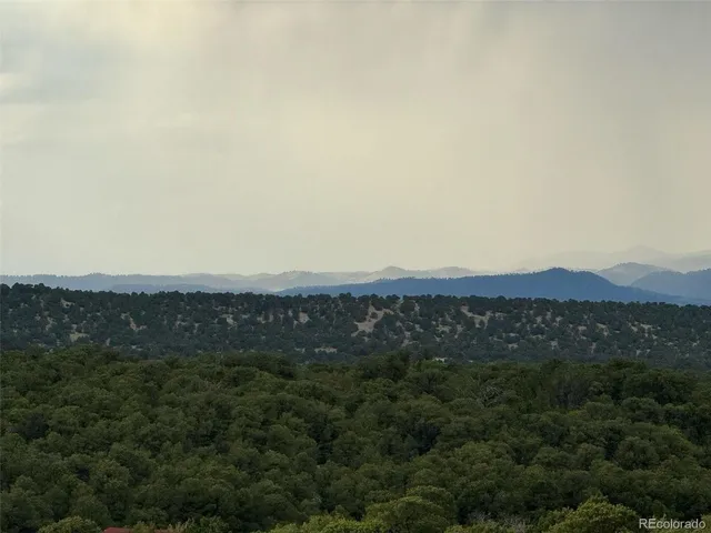 an aerial view of houses covered in trees