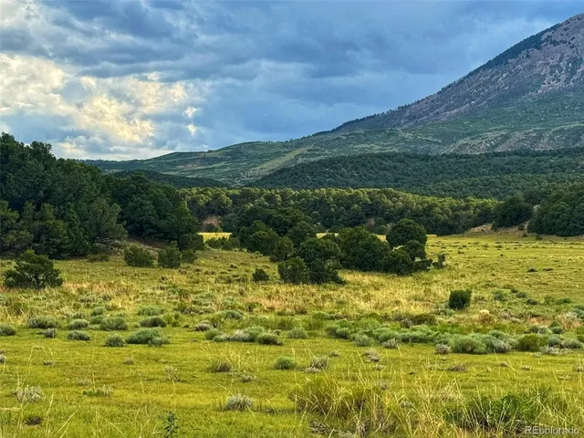 a view of a lake with a houses