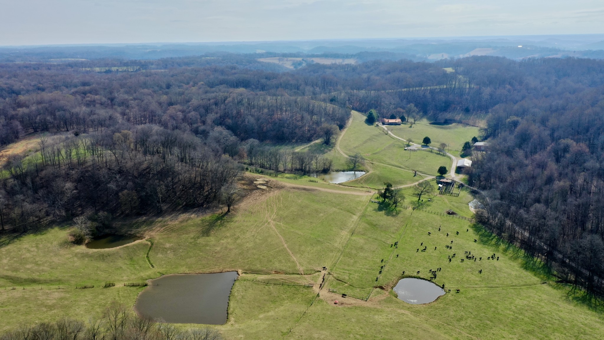 1650 Tarpley Shop Road Pulaski, TN 38478 - Photo 3 of 42