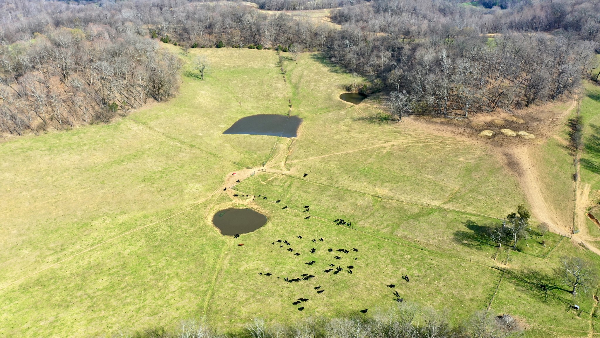 1650 Tarpley Shop Road Pulaski, TN 38478 - Photo 4 of 42