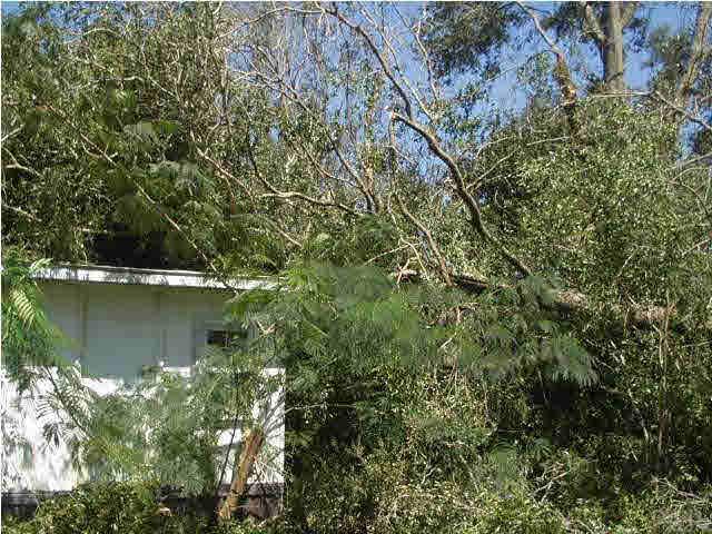 7175 Admiral Halsey Road Milton, FL 32583 - Photo 3 of 3 Gallery Image 3