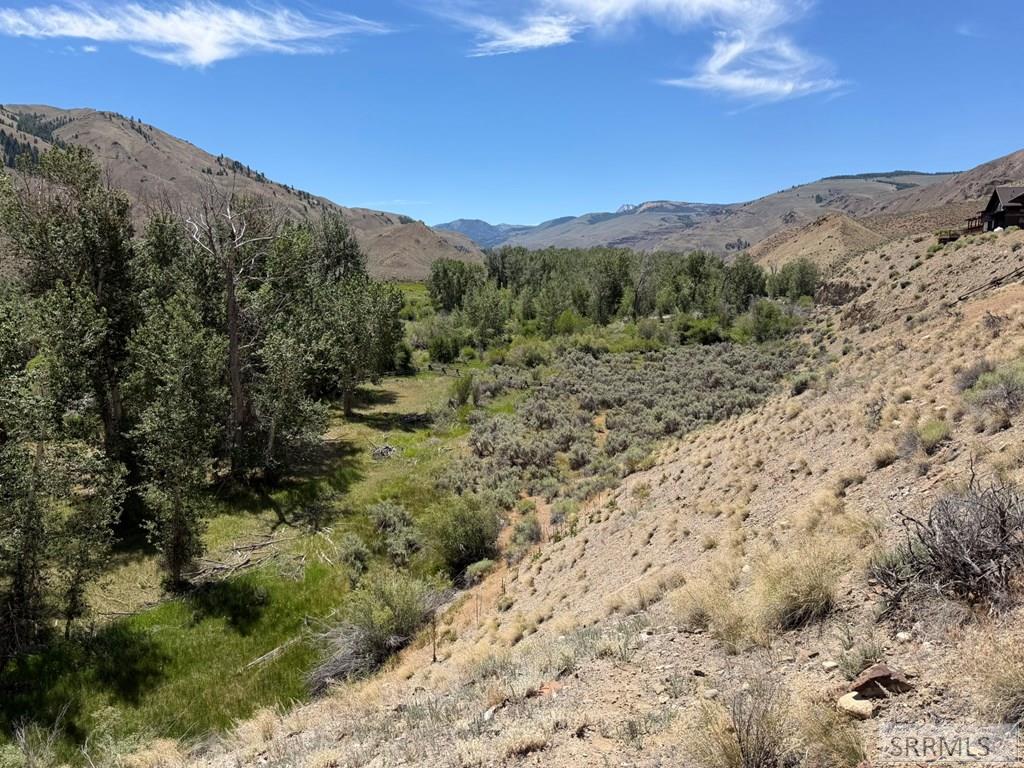 Tbd East Tbd E Fork Road Clayton, ID 83227 - Photo 26 of 28