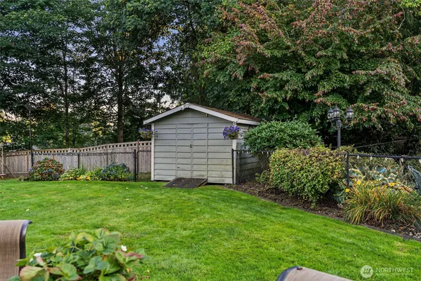 a view of a backyard with potted plants and large tree