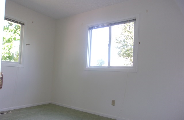135 Maple Blanchard, MI 49310 - Photo 8 of 14 1805204-7.JPG