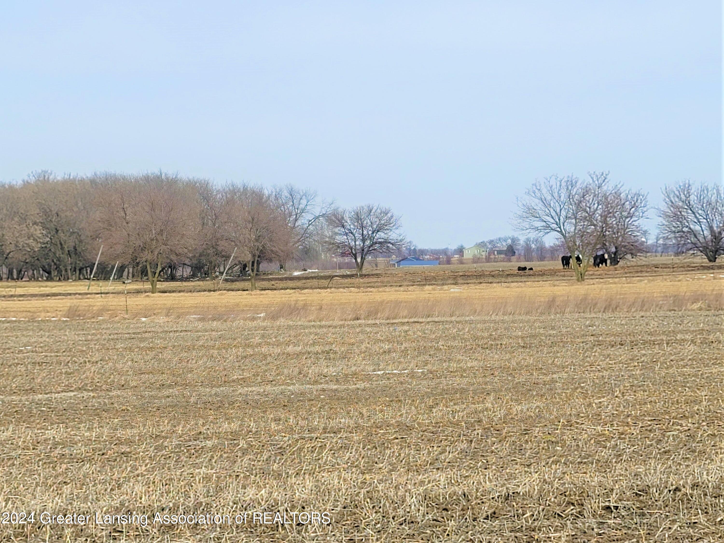 9135 East Kinley Road Ovid, MI 48866 - Photo 1 of 1 Road view