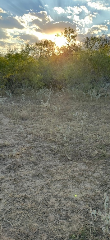 0 Carter Road Dale, TX 78616 - Photo 3 of 9 a view of a field with an ocean