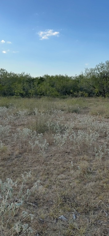 0 Carter Road Dale, TX 78616 - Photo 4 of 9 a view of an outdoor space and a yard
