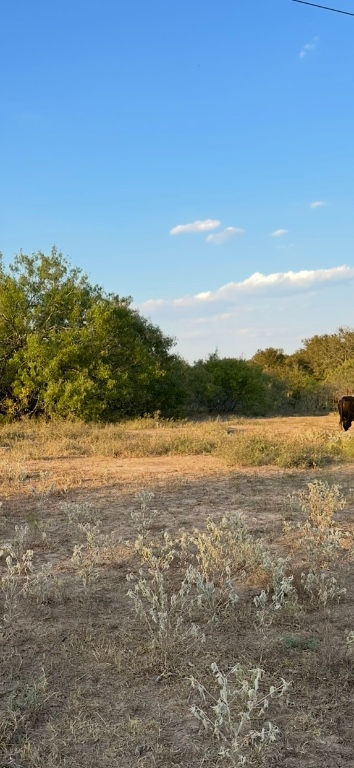 0 Carter Road Dale, TX 78616 - Photo 7 of 9 a view of lake with mountain