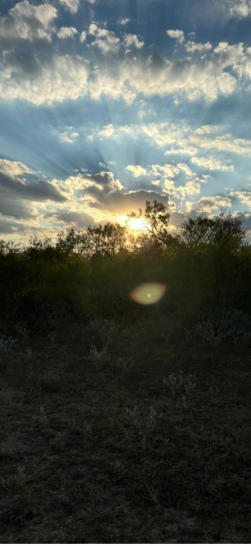 0 Carter Road Dale, TX 78616 - Photo 8 of 9 a view of an ocean and beach