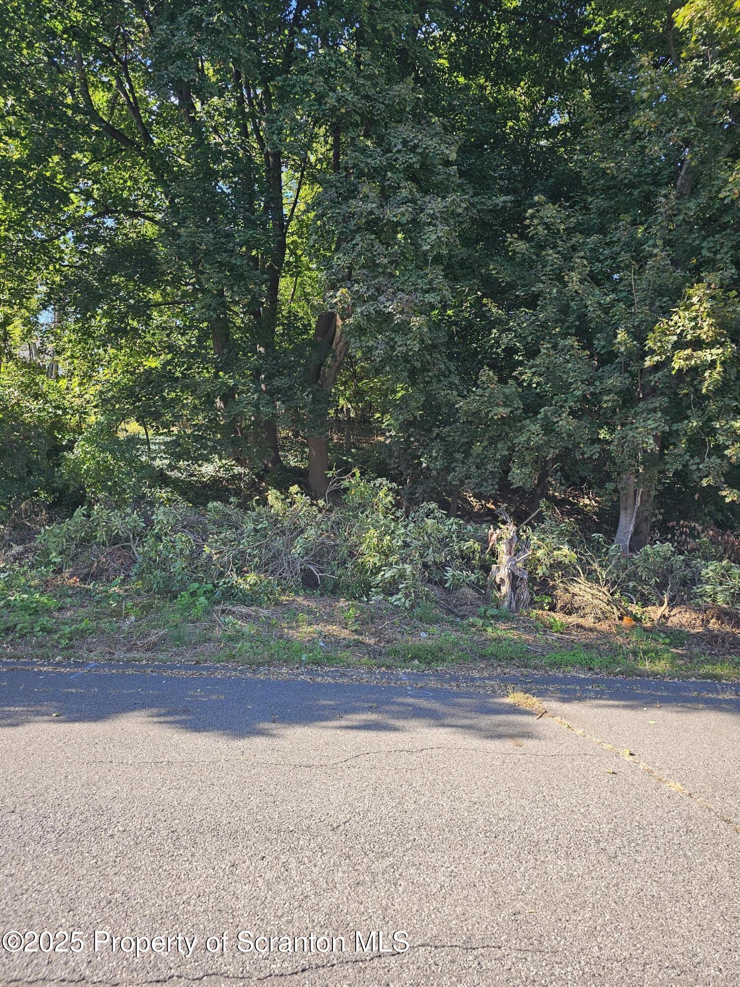 Colfax Avenue Scranton, PA 18510 - Photo 2 of 2 20251002_150127