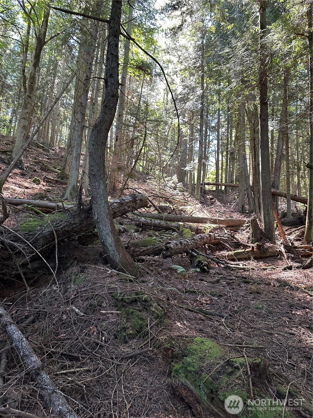 0 Newton Beach Road Shaw Island, WA 98286 - Photo 12 of 16