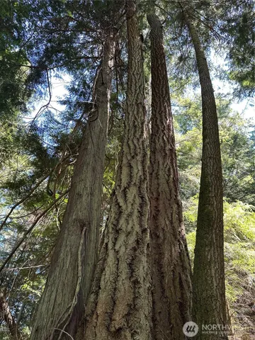 $795,000 | 0 Newton Beach Road, Shaw Island, WA 98286