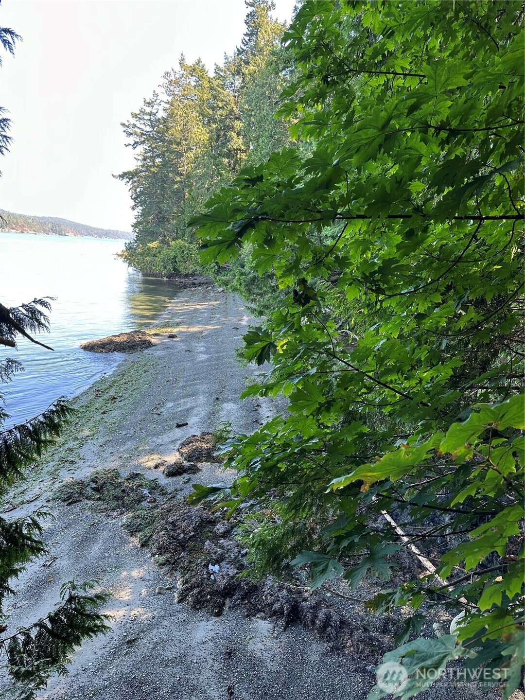 0 Newton Beach Road Shaw Island, WA 98286 - Photo 3 of 16