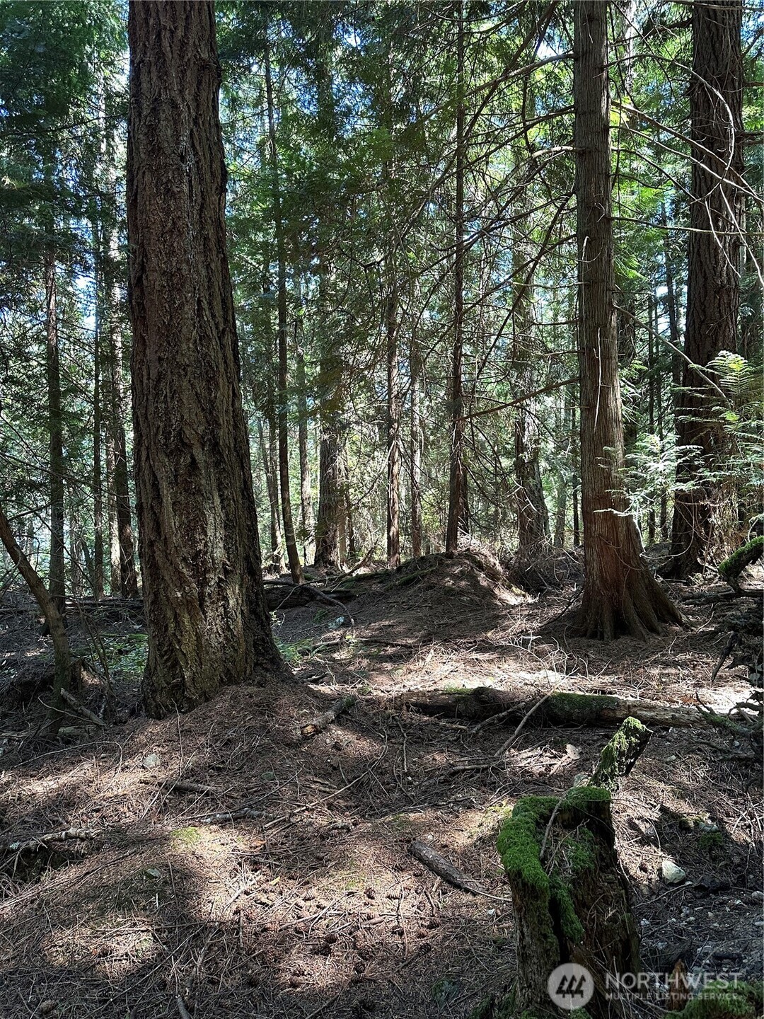 0 Newton Beach Road Shaw Island, WA 98286 - Photo 7 of 16