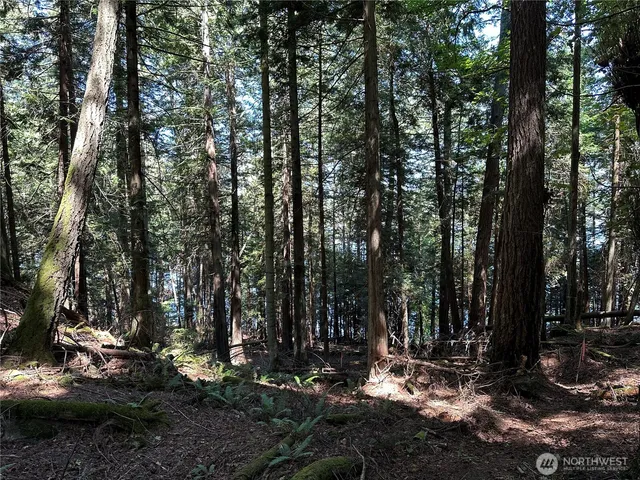 a view of outdoor space with trees