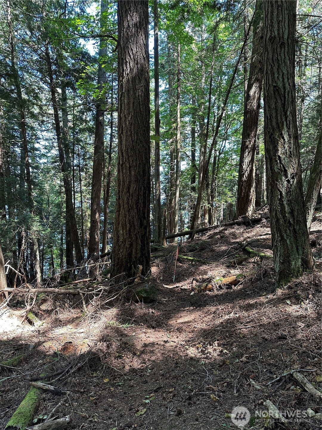 0 Newton Beach Road Shaw Island, WA 98286 - Photo 10 of 16