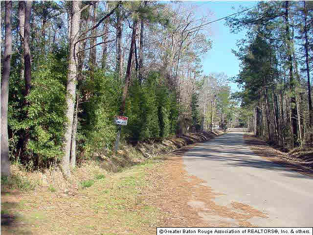 0 Albin Road Independence, LA 70443 - Photo 3 of 3 Gallery Image 3