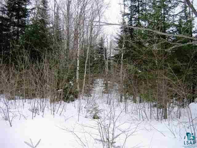 F Blesner Lake Road Finland, MN 55603 - Photo 15 of 17 Gallery Image 15