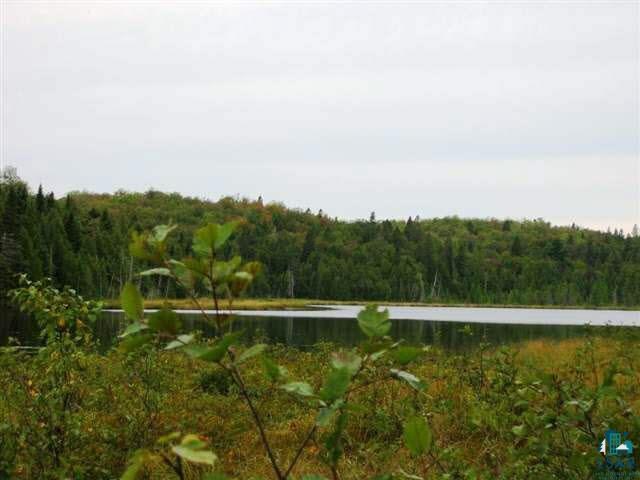 F Blesner Lake Road Finland, MN 55603 - Photo 7 of 17 Gallery Image 7