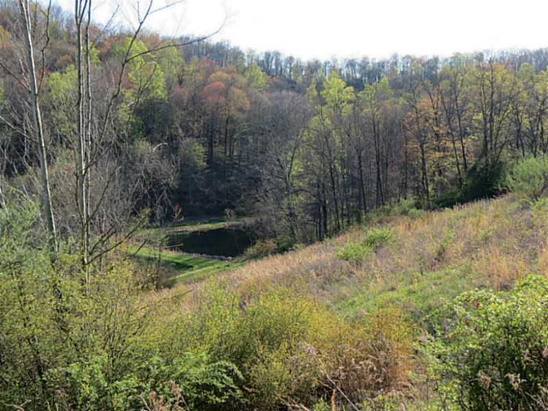195 Smith Creek Road Spraggs, PA 15362 - Photo 21 of 25 Land. View of Big Pond From Field...