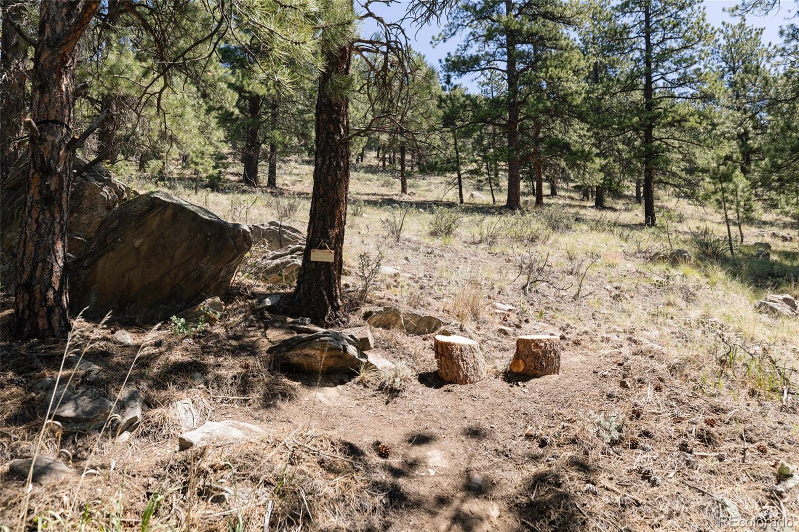 1898 Kerr Gulch Road Evergreen, CO 80439 - Photo 27 of 32