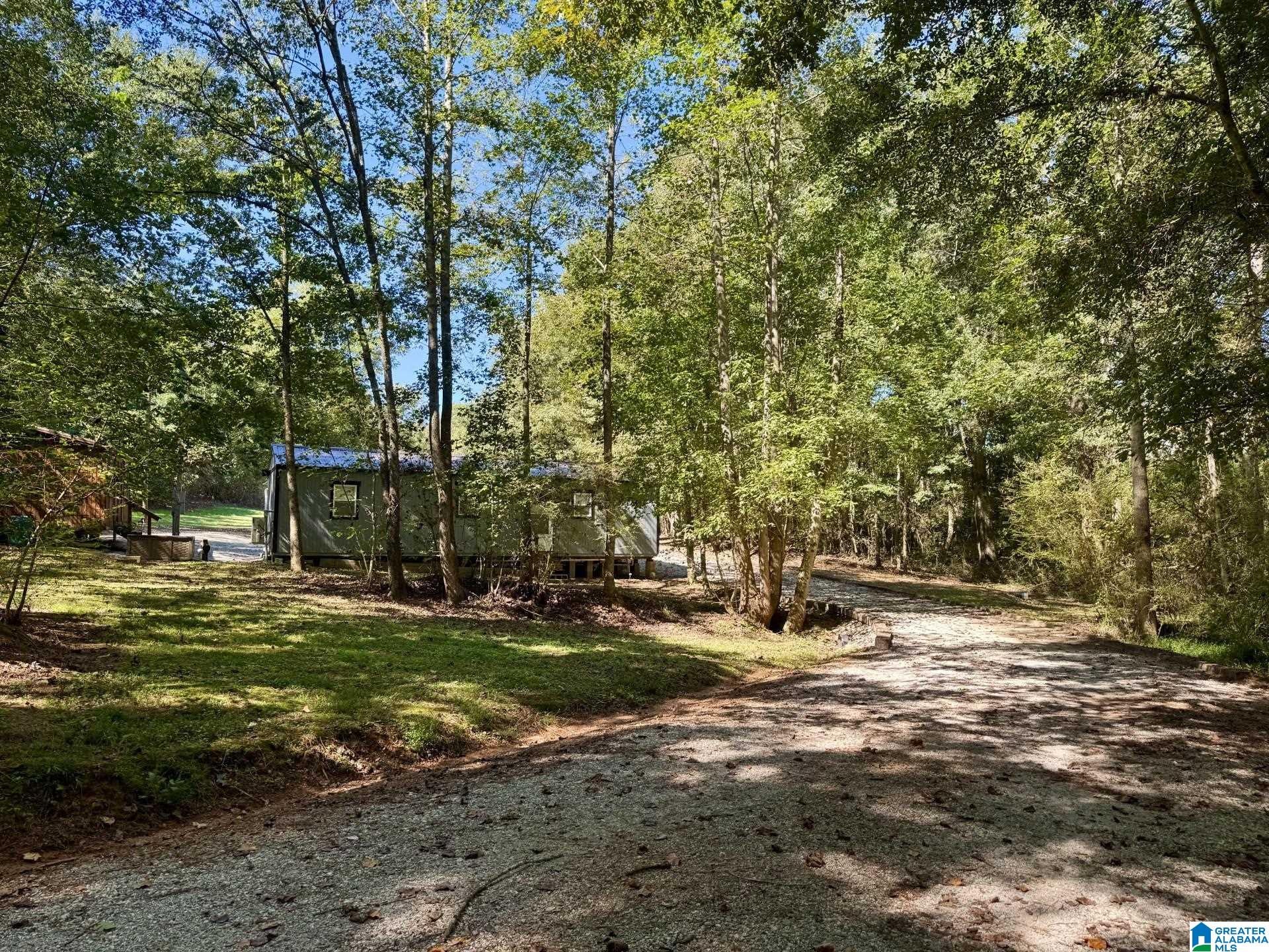 2371 Mt Moriah Road Delta, AL 36258 - Photo 23 of 28 Gallery Image 23