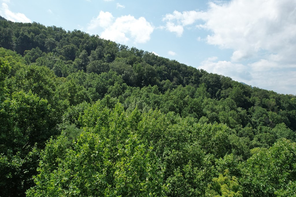 21 Kulpan Way Sevierville, TN 37862 - Photo 4 of 25