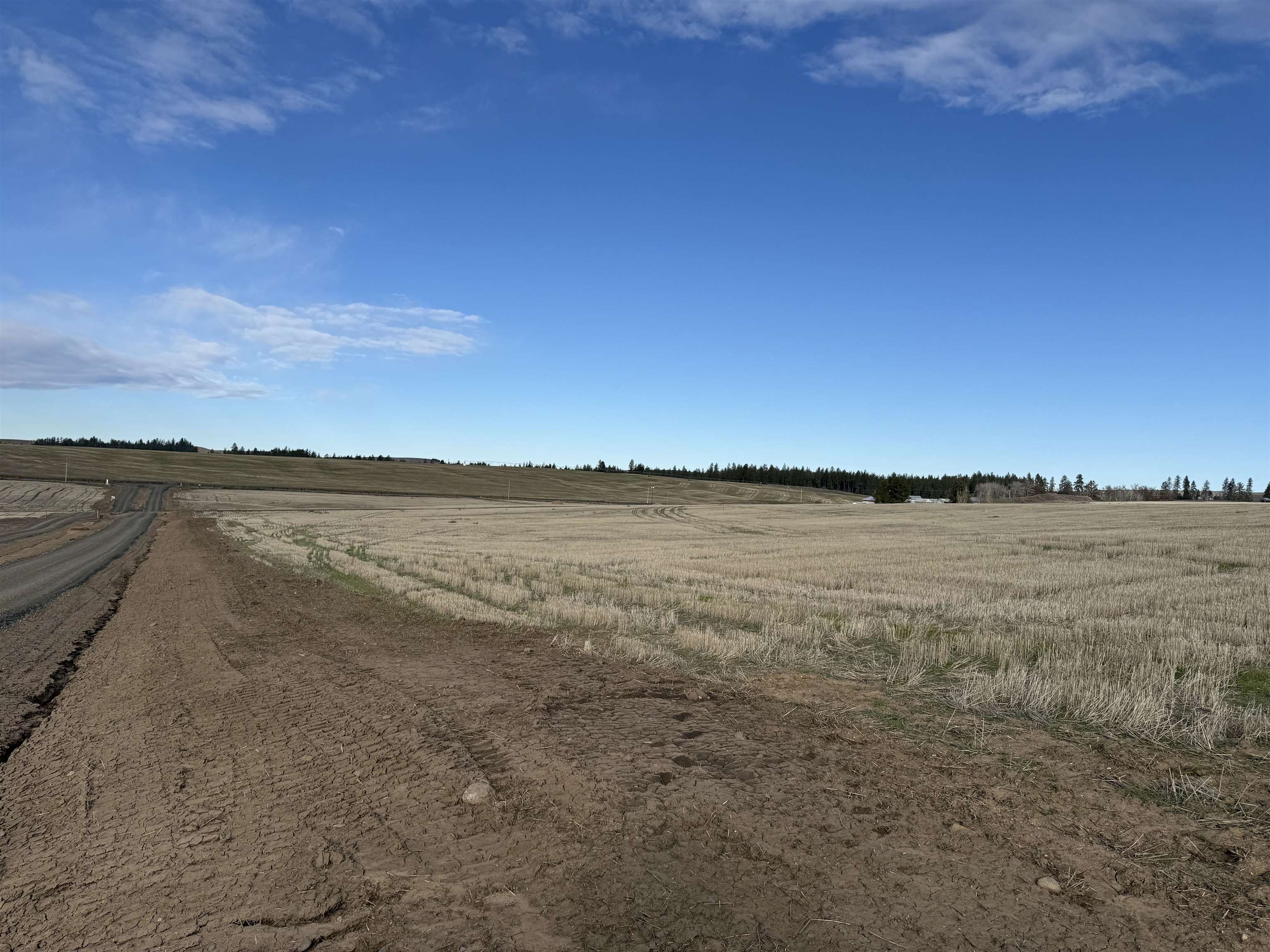 15141 South Andrus Road Cheney, WA 99004 - Photo 10 of 16