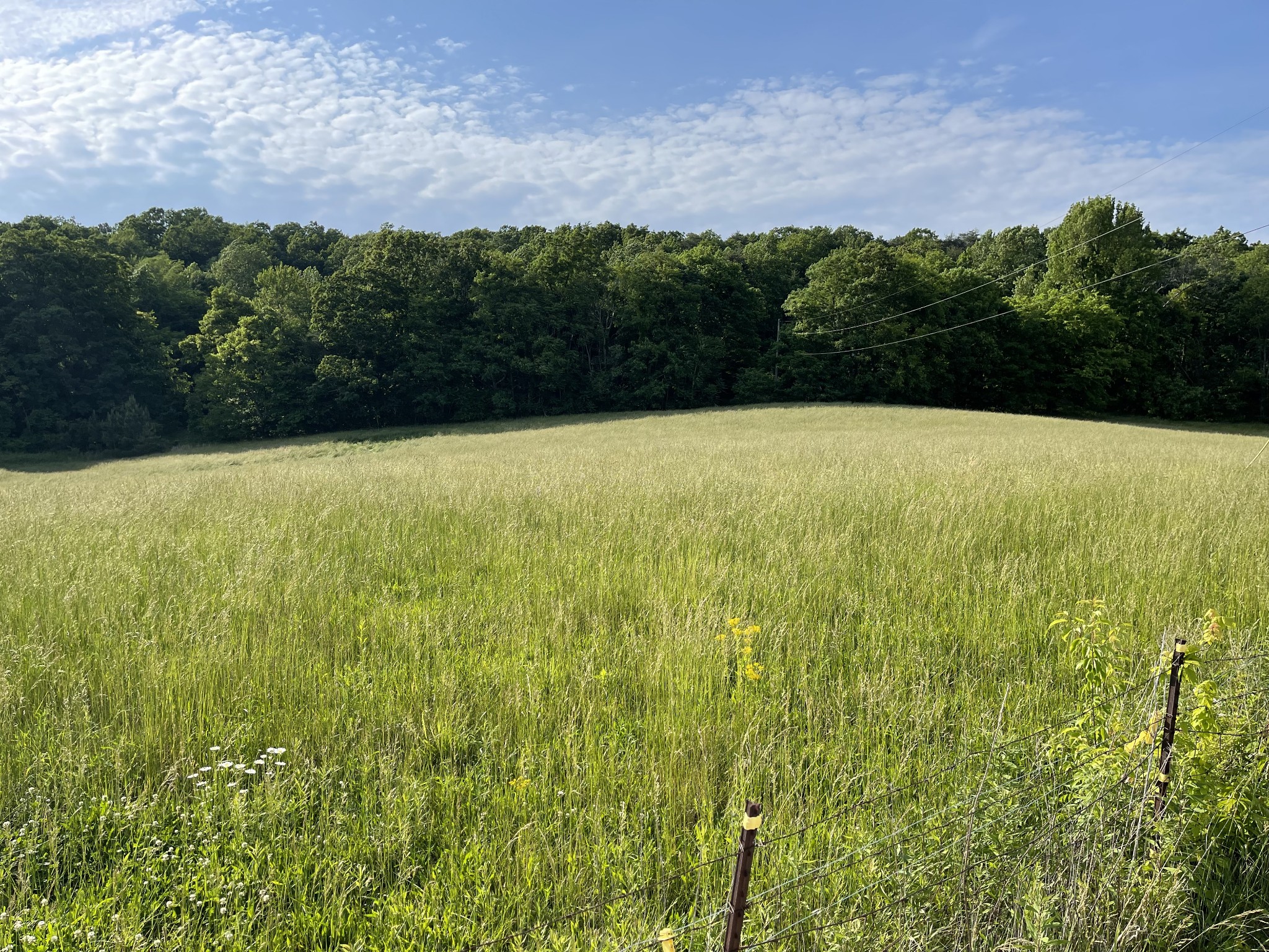 2217 Lemont And Yates Mountain Road Spencer, TN 38585 - Photo 1 of 36 a view of an ocean