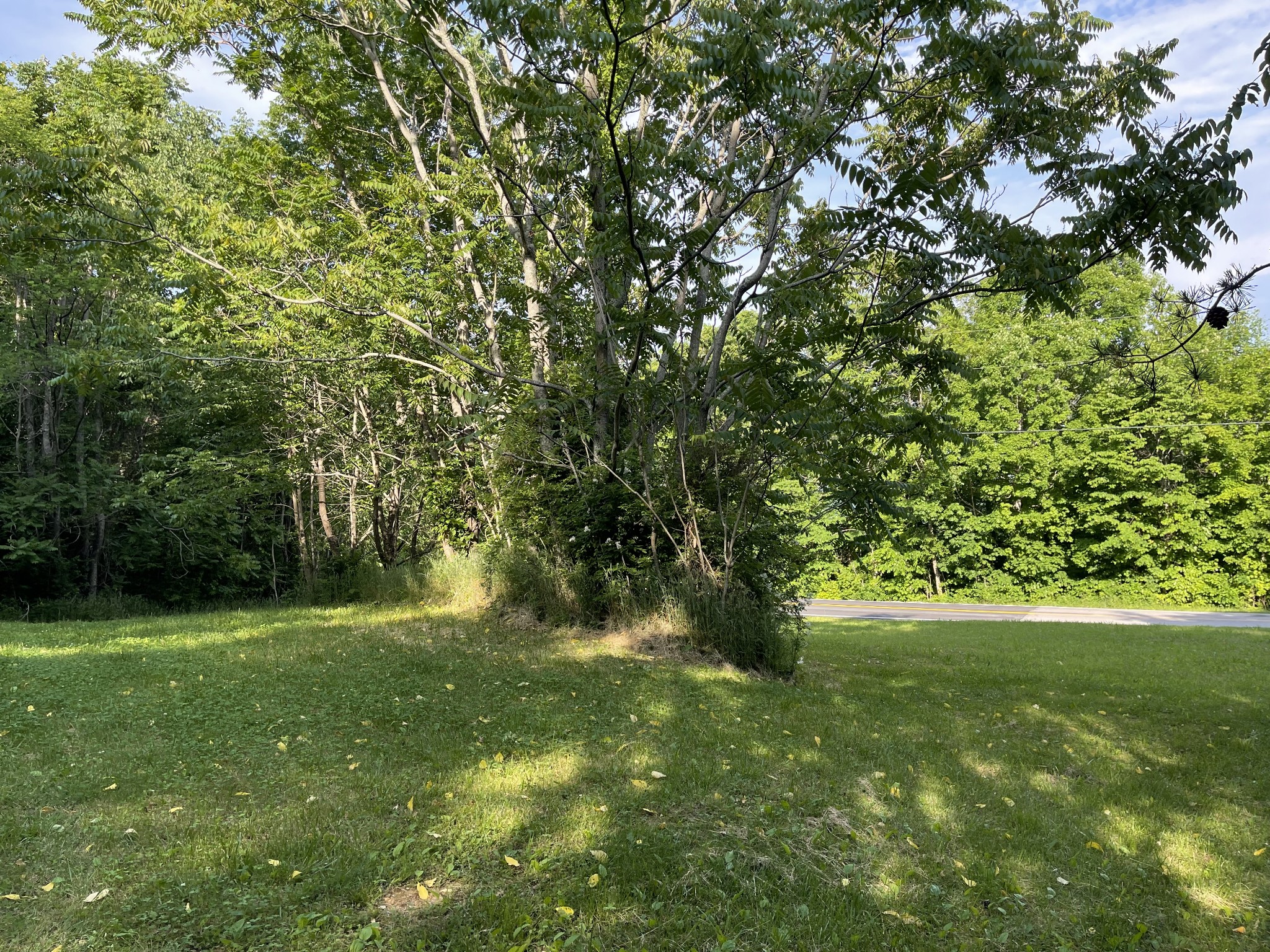 2217 Lemont And Yates Mountain Road Spencer, TN 38585 - Photo 17 of 36 a view of outdoor space with trees all around