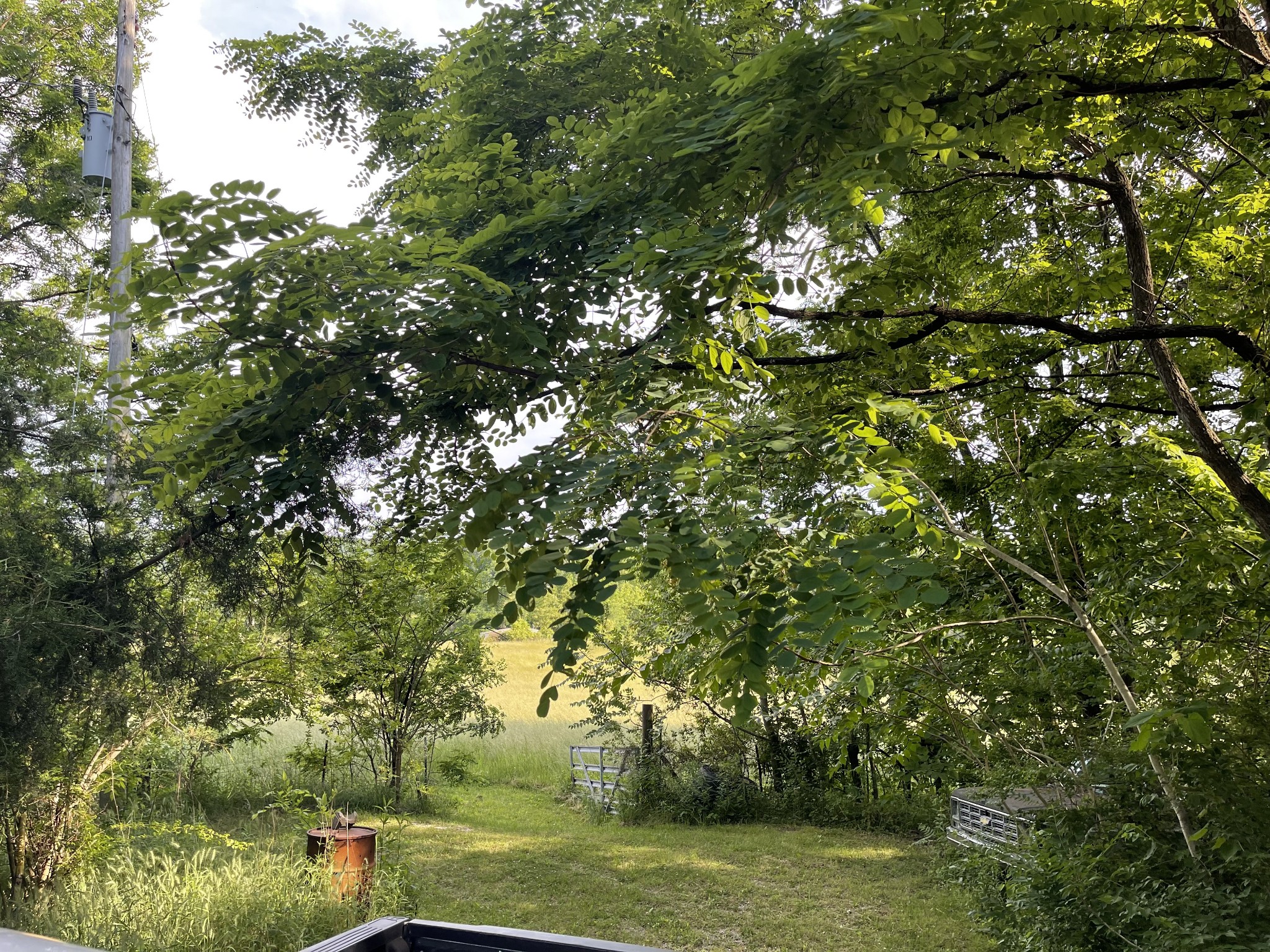 2217 Lemont And Yates Mountain Road Spencer, TN 38585 - Photo 18 of 36 a view of a yard with a tree